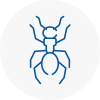 Ant Removals In Madeley
