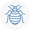 Bed Bug Extermination In Madeley