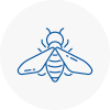 Bee Nest Removal Madeley