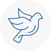 Bird Prevention Madeley