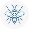 Madeley Hornet Nest Removals