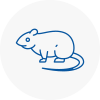 Rat Control Madeley