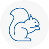 Madeley Rodent Removals